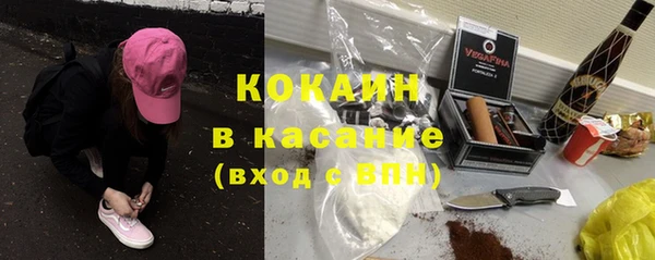 дмт Пестово