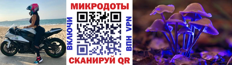 Галлюциногенные грибы Psilocybe  Кремёнки 
